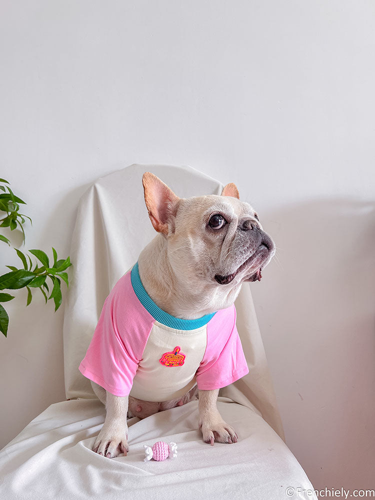 dog pink birthday shirt with candy pin and brirthday cake print