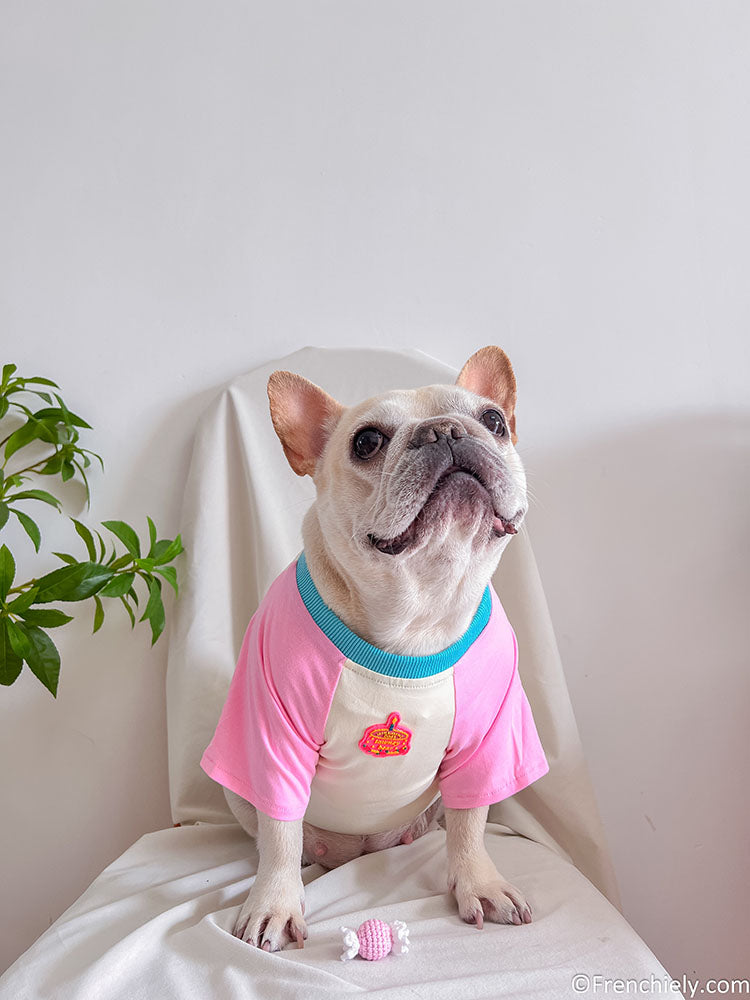 dog pink birthday shirt with candy pin and brirthday cake print