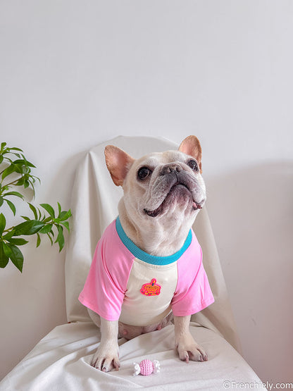 dog pink birthday shirt with candy pin and brirthday cake print