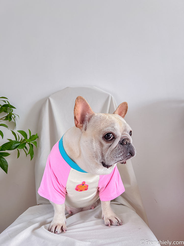 dog pink birthday shirt with candy pin and brirthday cake print