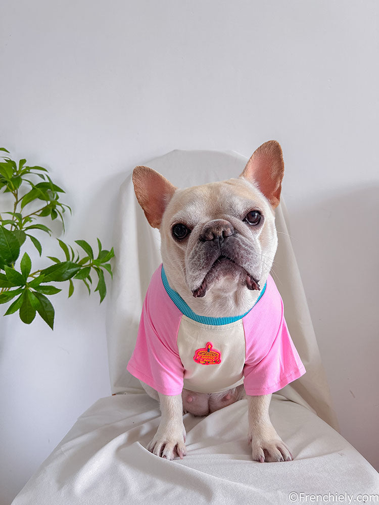dog pink birthday shirt with candy pin and brirthday cake print