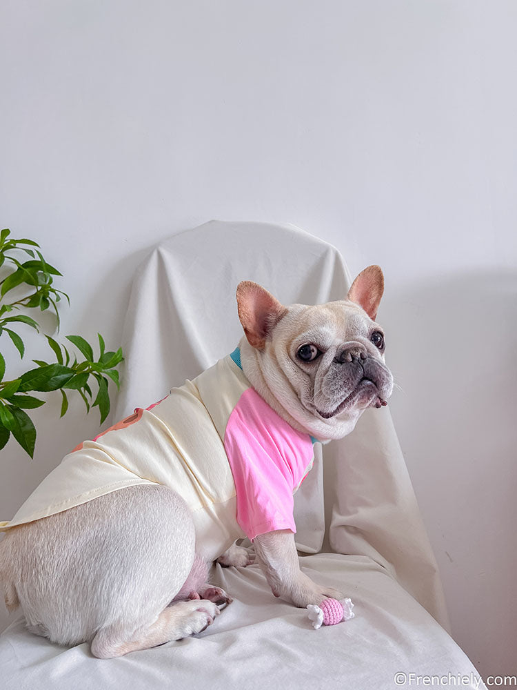dog pink birthday shirt with candy pin and brirthday cake print