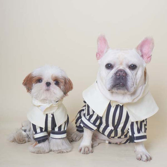 Black & Stripe Onesie Raincoat dogblackandwhitestripeonesieraincoatformediumdogs_9