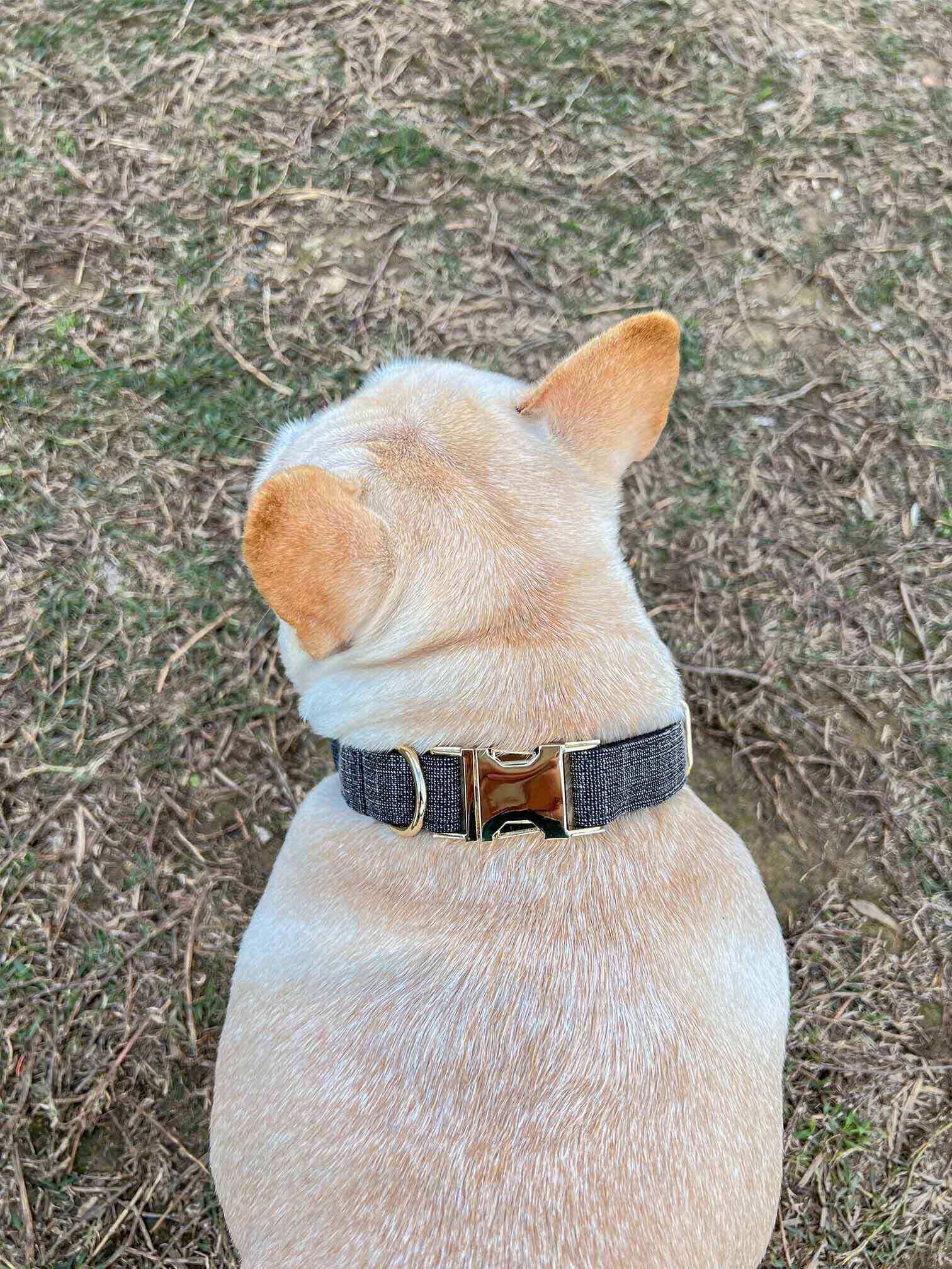Dog Black Collar Leash Set - Frenchiely