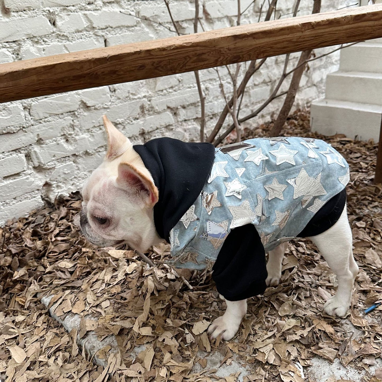 Dog Fancy Emoji Hoodie dogblackhoodiesweatshirtformediumdogbreedswithemojipatterns_1