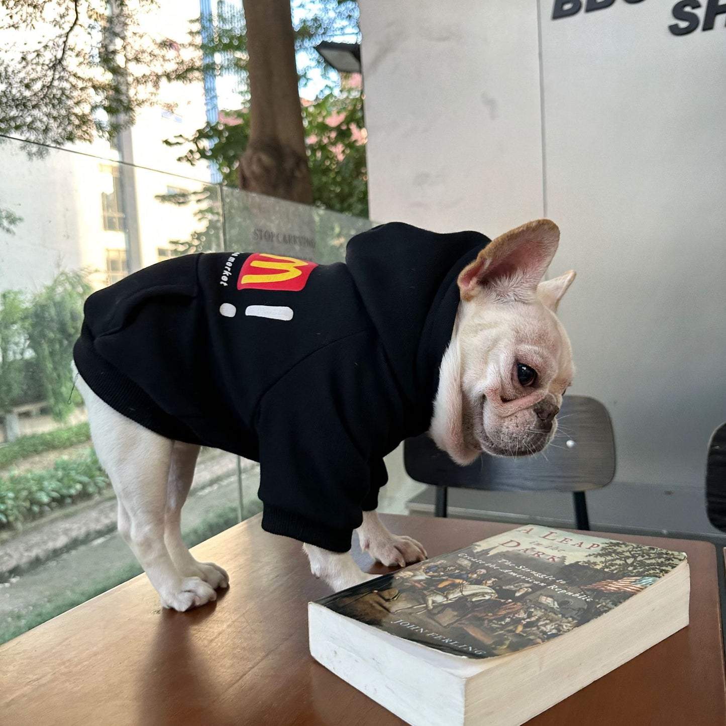 Dog Fancy Emoji Hoodie dogblackhoodiesweatshirtformediumdogbreedswithemojipatterns_15