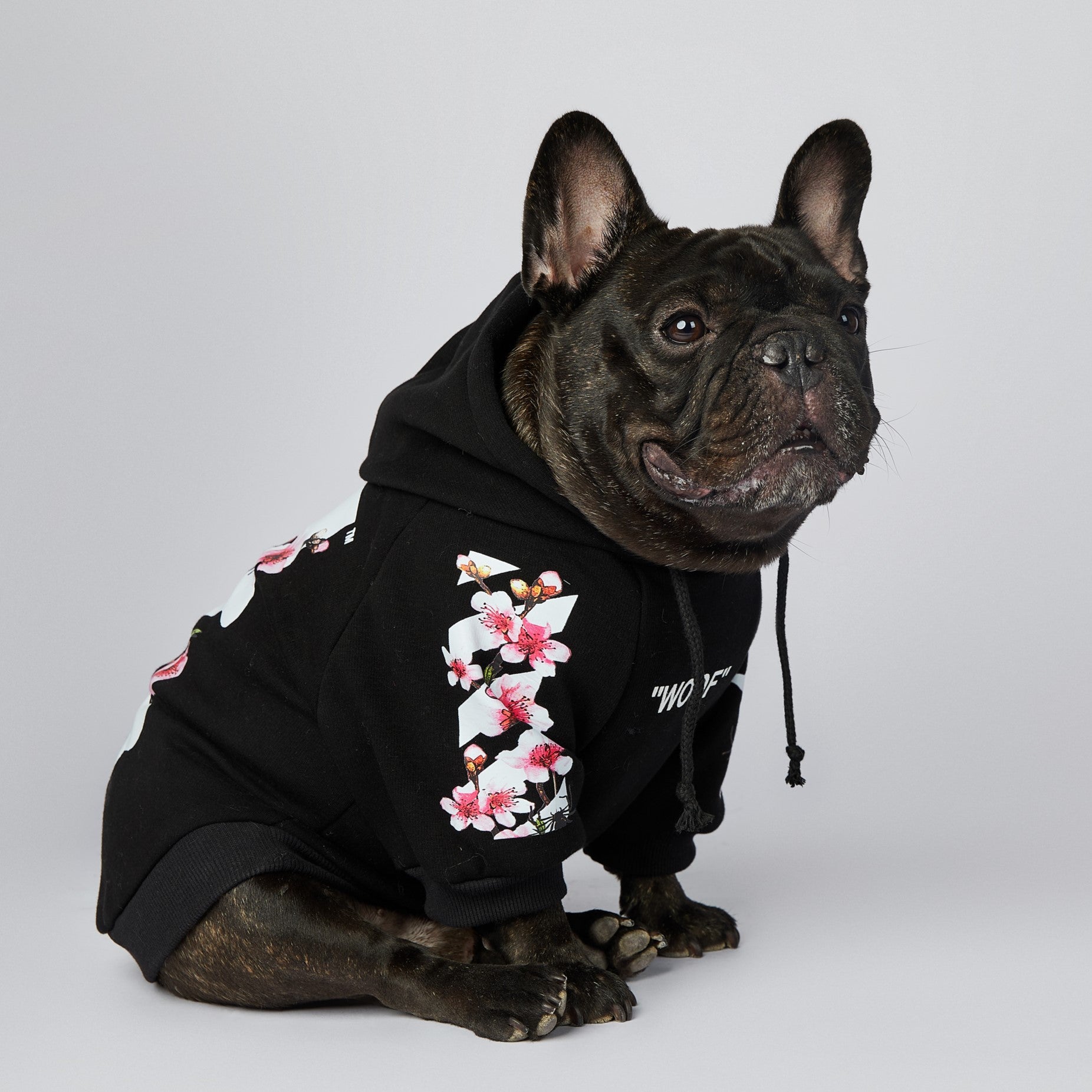 Dog Black Sakura Woof Hoodie - Frenchiely