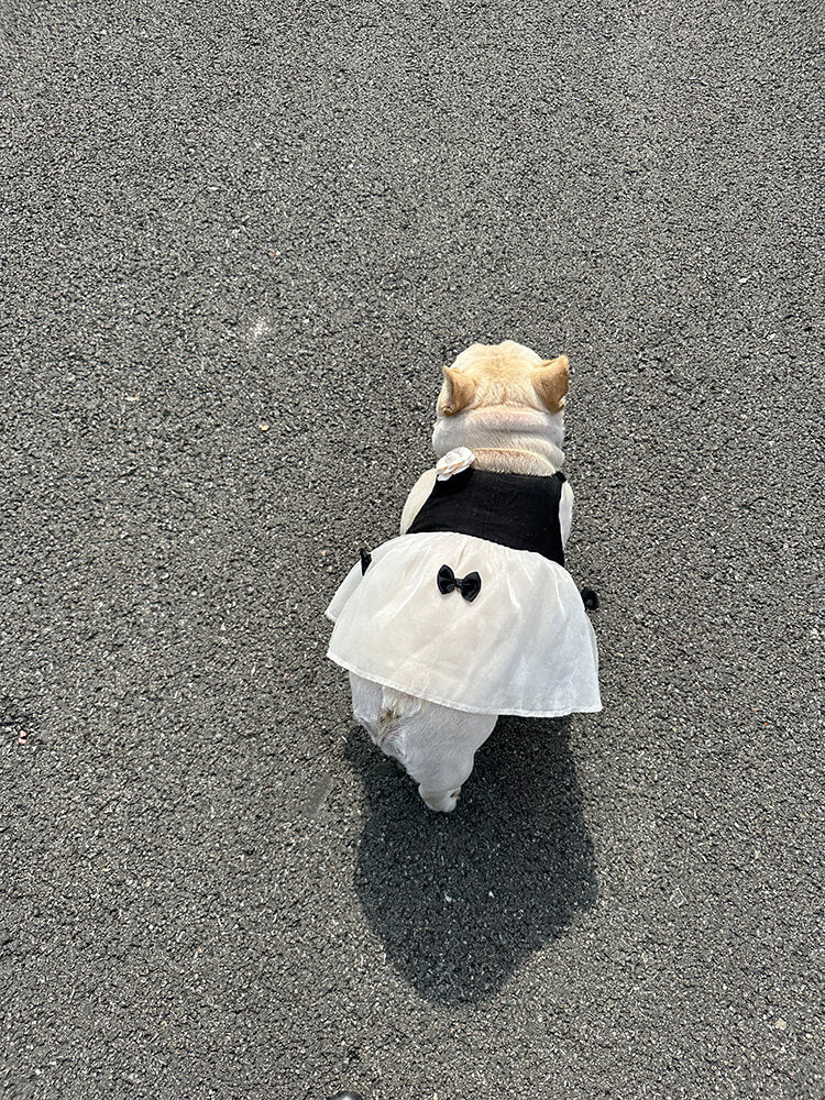 dog black n white dress for medium dog breeds 