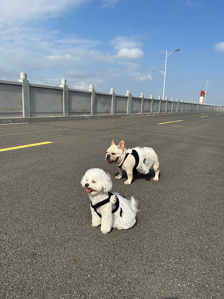 dog black n white dress for medium dog breeds 