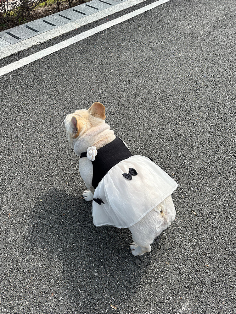 dog black n white dress for medium dog breeds 