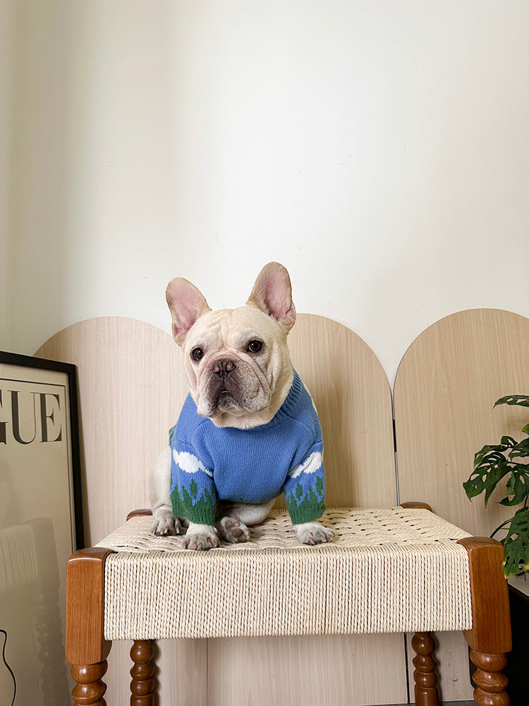 Dog Blue Sky White Clouds Sweater for Medium Dogs by Frenchiely