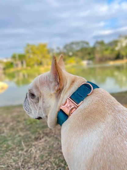 Dog Royal Blue Leash Set - Frenchiely