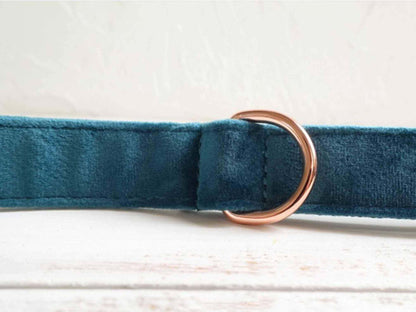 Dog Royal Blue Leash Set - Frenchiely
