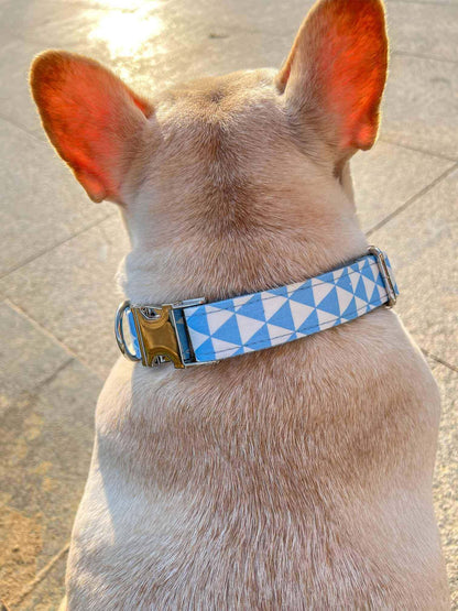 Dog Blue White Collar - Frenchiely