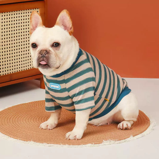 Blue Stripe Doggie Shirt dogbluedoggieshirtforfrenchbulldogs_4