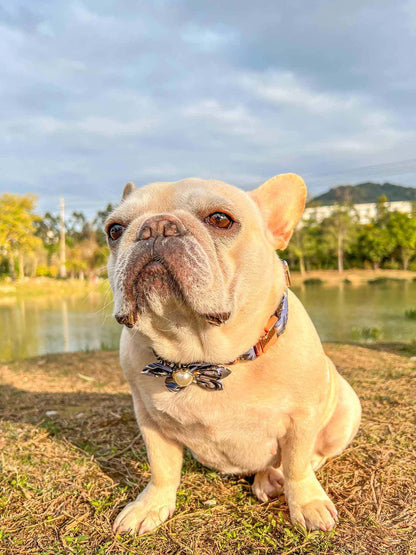 Dog Blue Flower Collar - Frenchiely