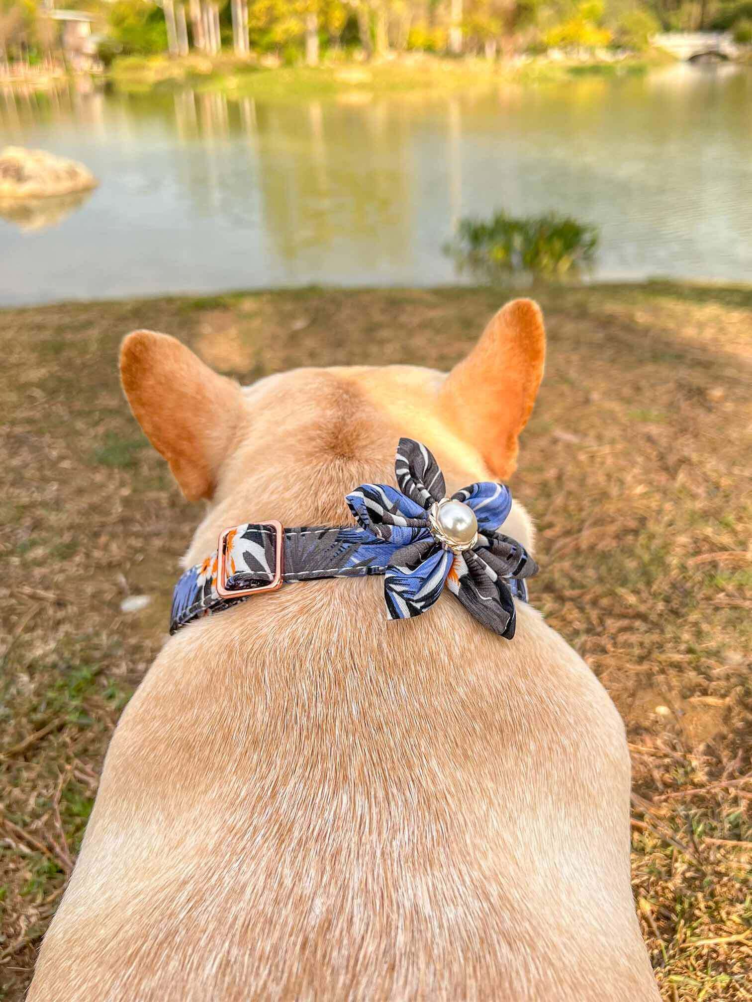 Dog Blue Flower Collar - Frenchiely