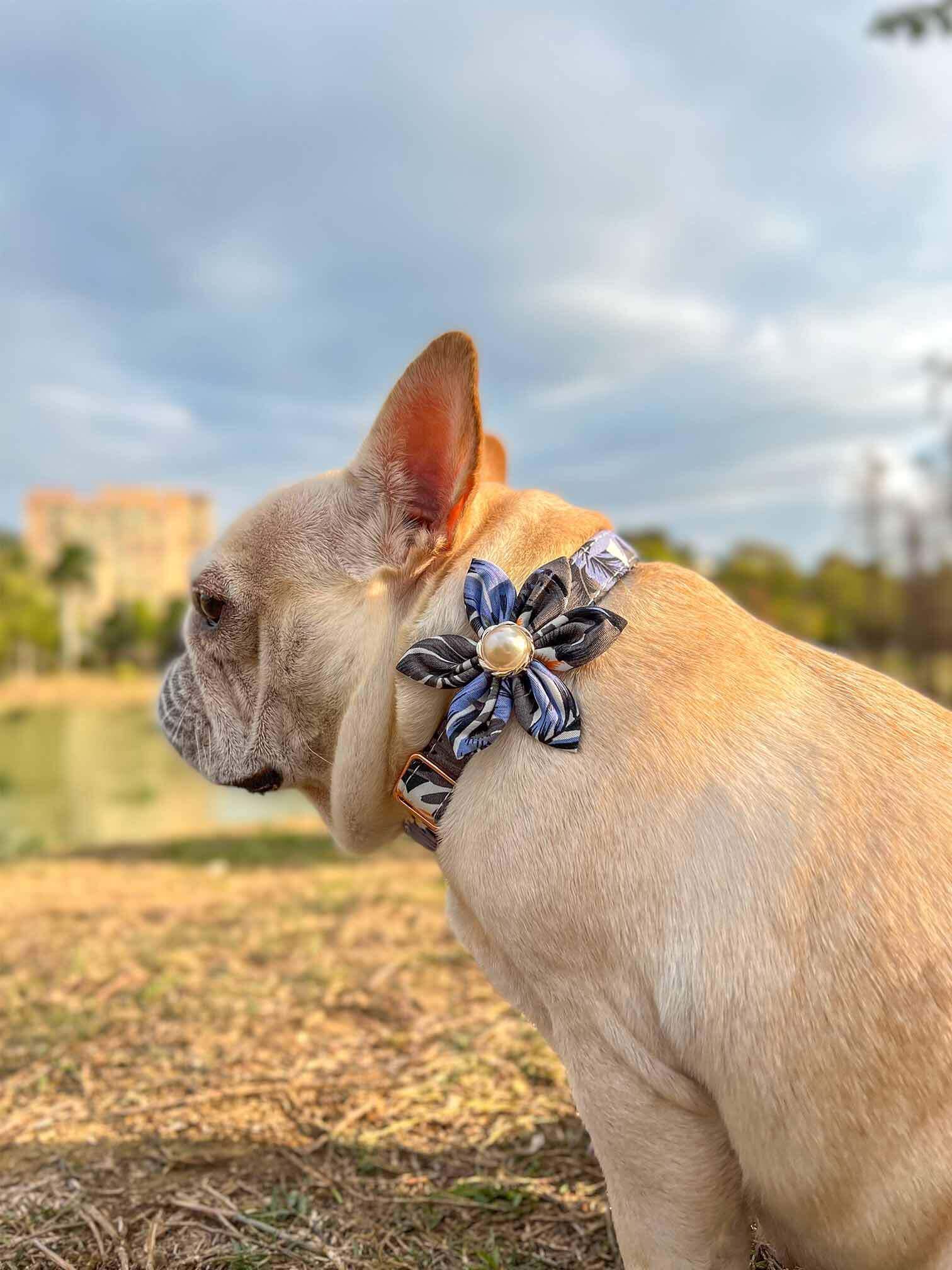 Dog Blue Flower Collar - Frenchiely