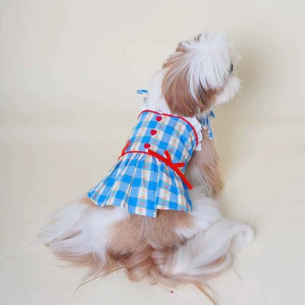 Blue Plaid Dress