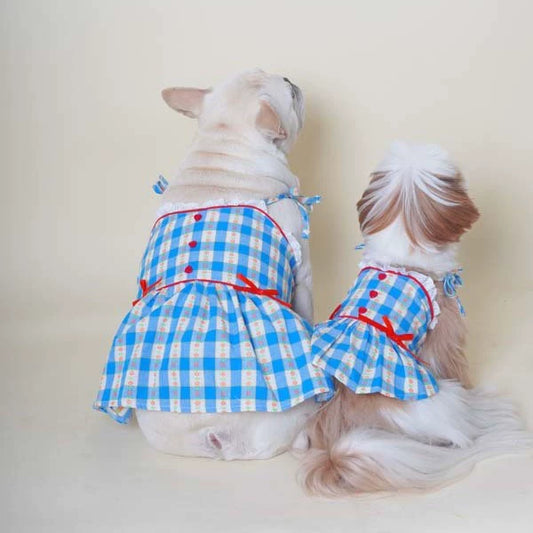 Blue Plaid Dress