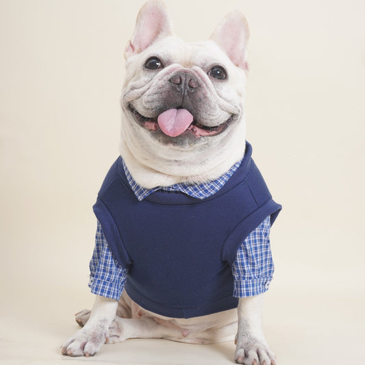 Dog Fake Two Piece Shirt in Blue for medium dog breeds by Frenchiely
