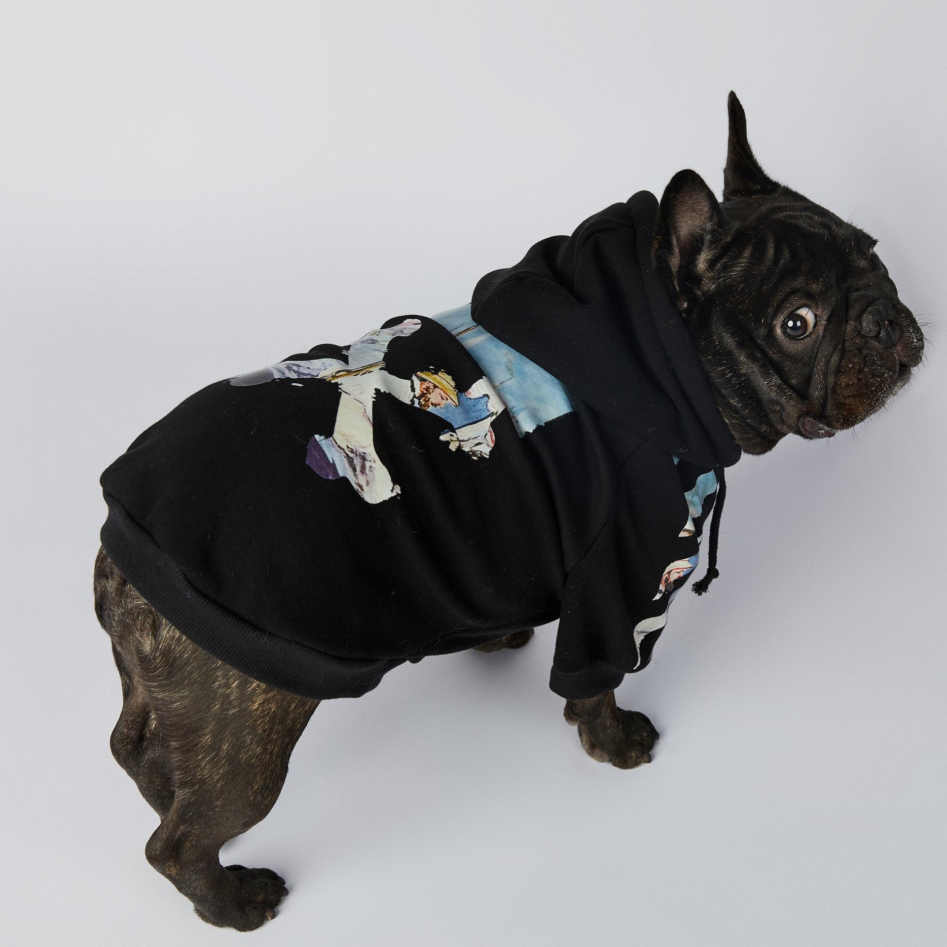 Dog Black & Blue Woof Hoodie - Frenchiely