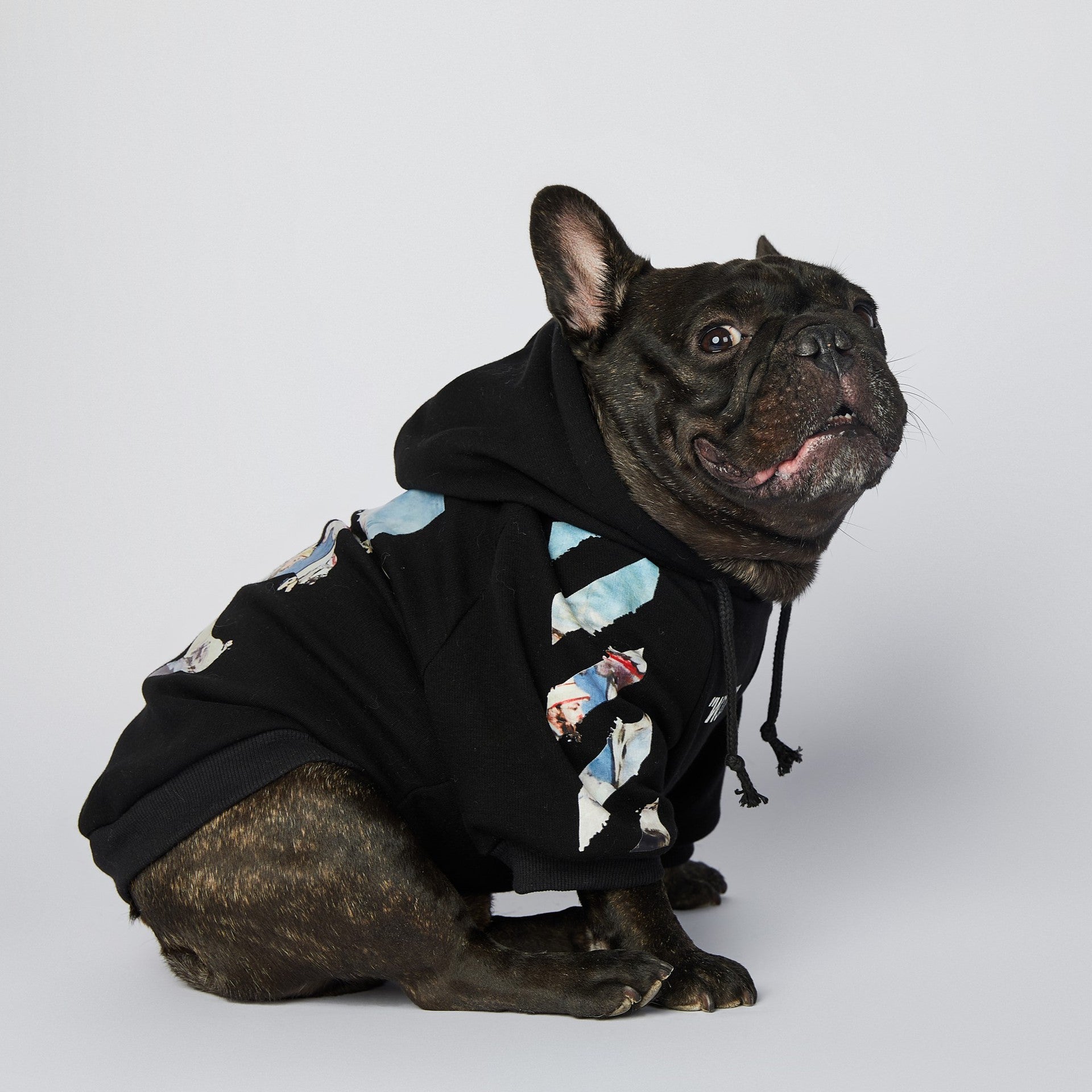 Dog Black & Blue Woof Hoodie - Frenchiely