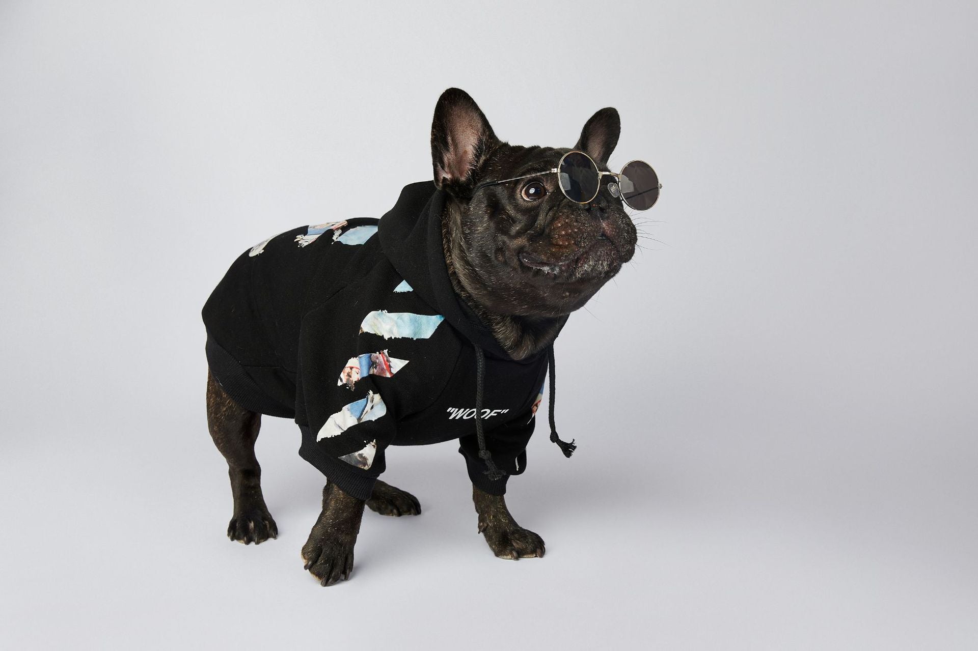 Dog Black & Blue Woof Hoodie - Frenchiely