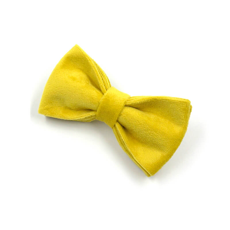 Dog Bright Yellow Bow Tie - Frenchiely