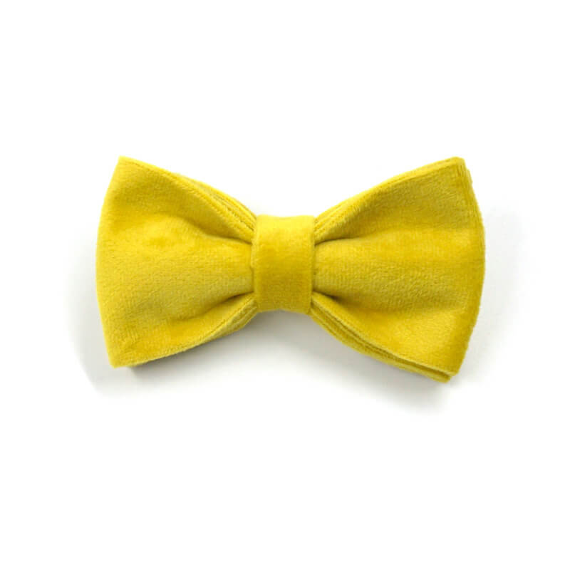 Dog Bright Yellow Bow Tie - Frenchiely