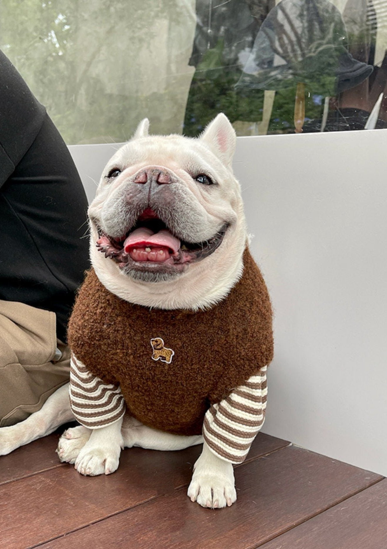 French Bulldog Warm Doggie Sweater