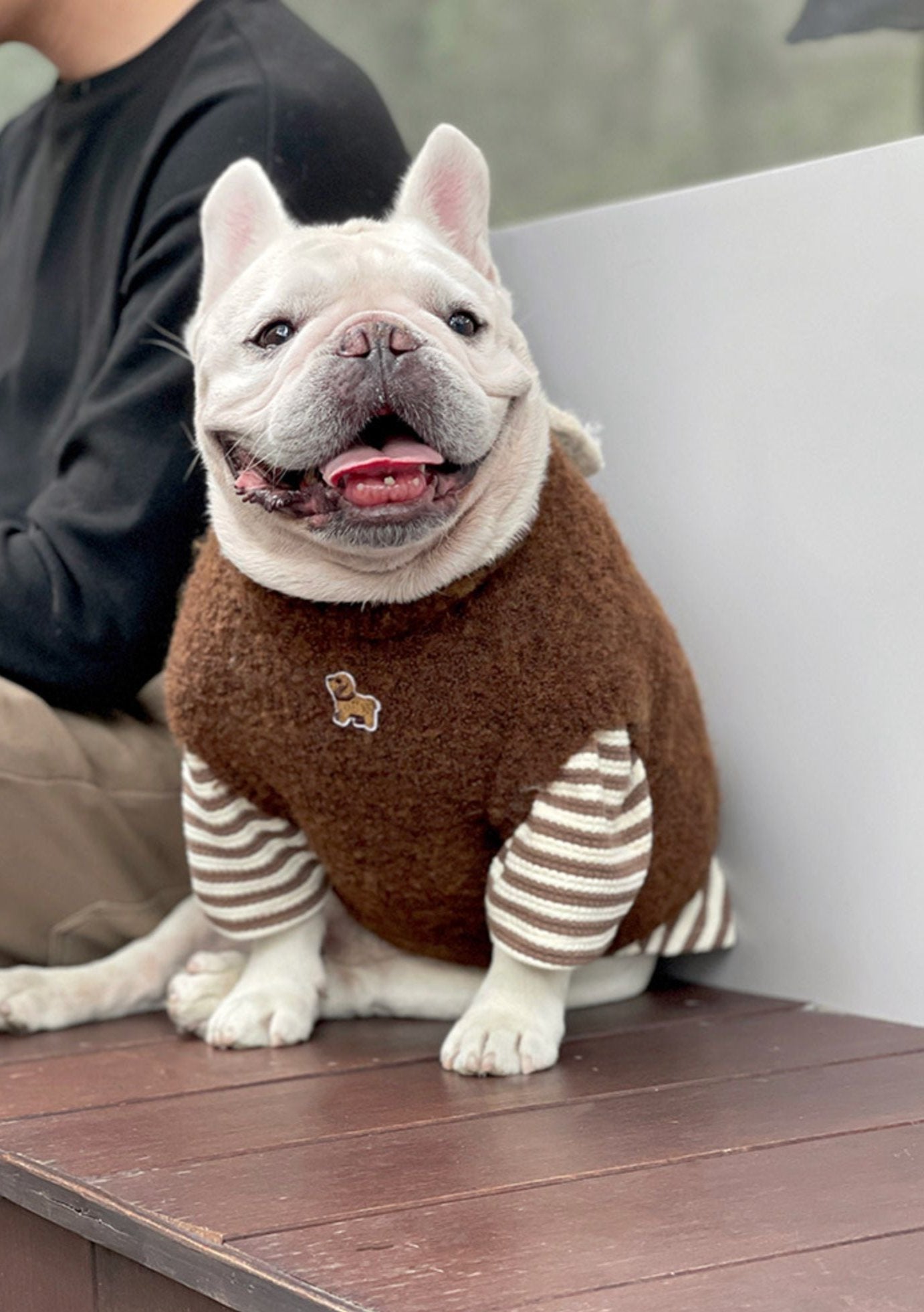 Warm Doggie Sweater