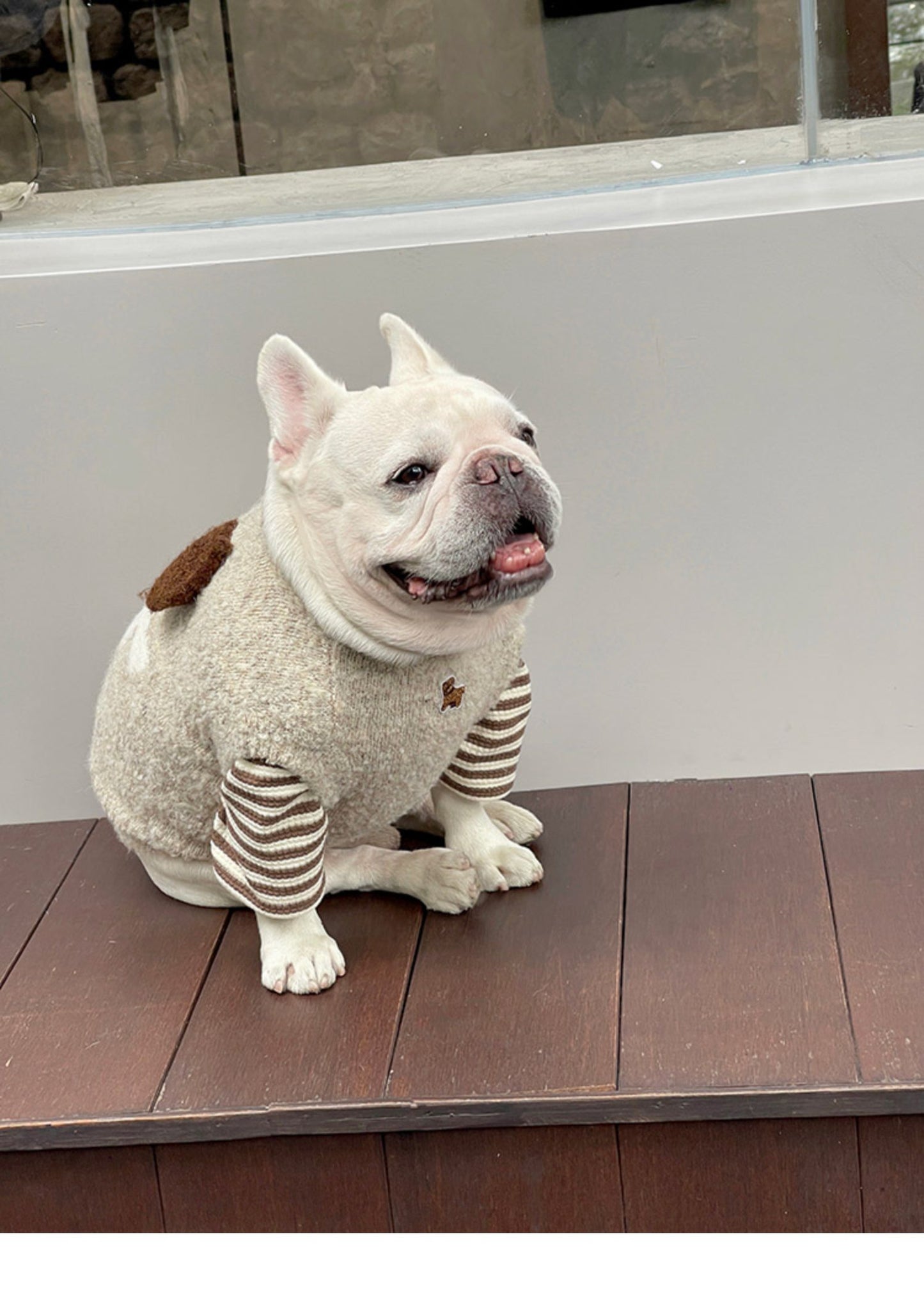 Warm Doggie Sweater