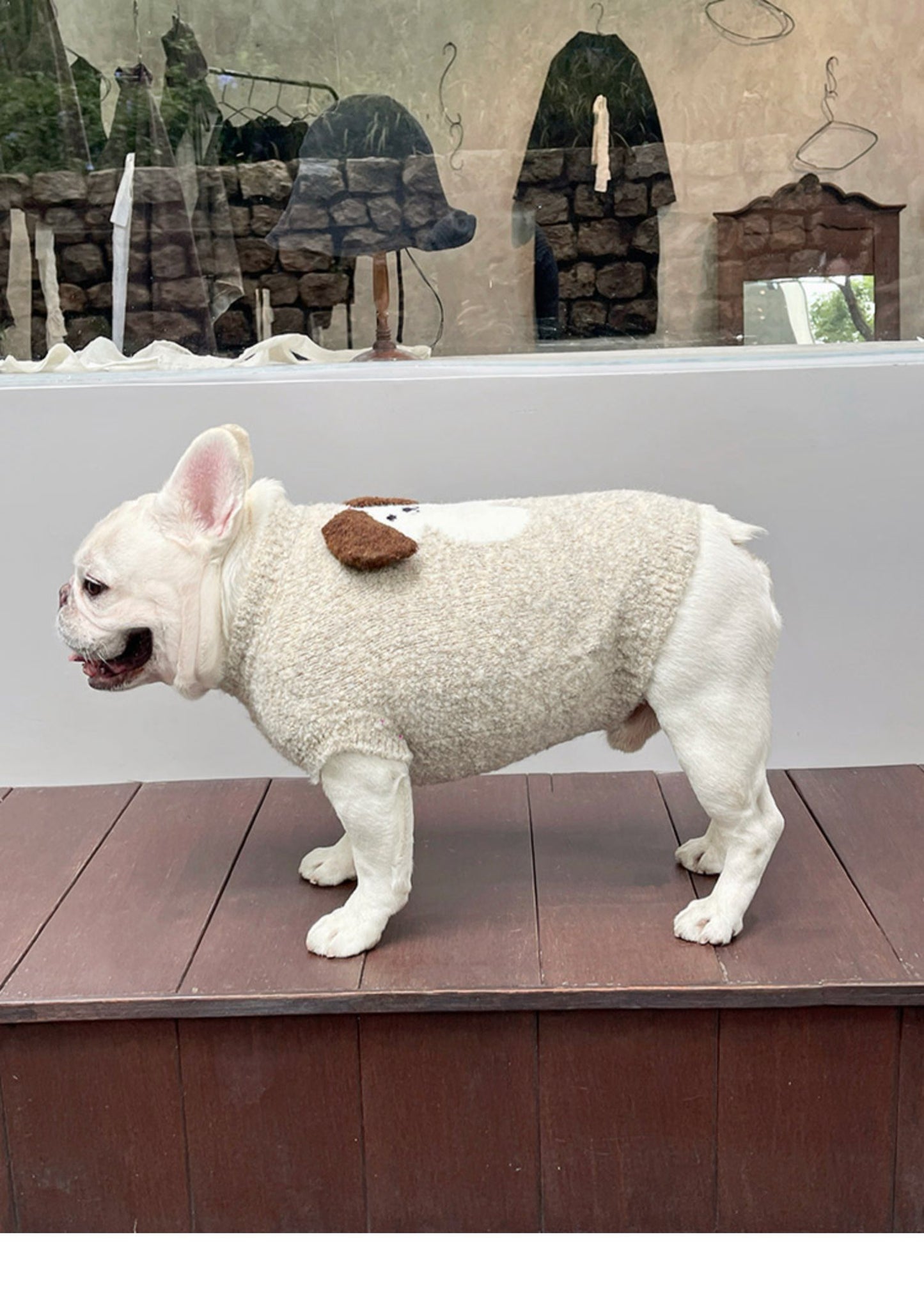 Warm Doggie Sweater