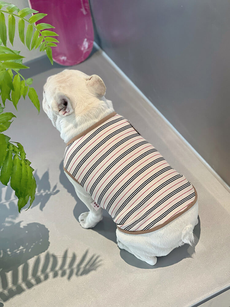 Dog navy stripe shirt for small medium dogs by Frenchiely