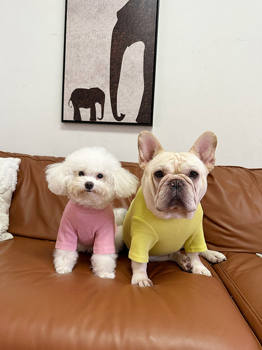 Bunny Shirt dogbunnyshirtsweaterforsmallmediumdogsbyFrenchiely_3
