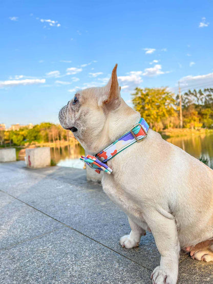 Dog Camouflage Collar - Frenchiely