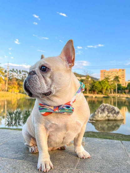 Dog Camouflage Collar - Frenchiely