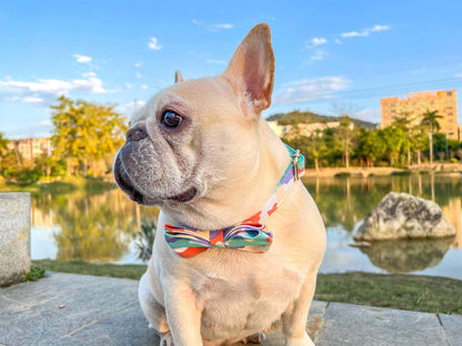 Dog Camouflage Collar - Frenchiely