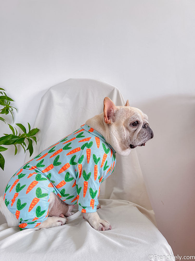 Dog carrot onesie pajmas for medium dogs by Frenchiely 