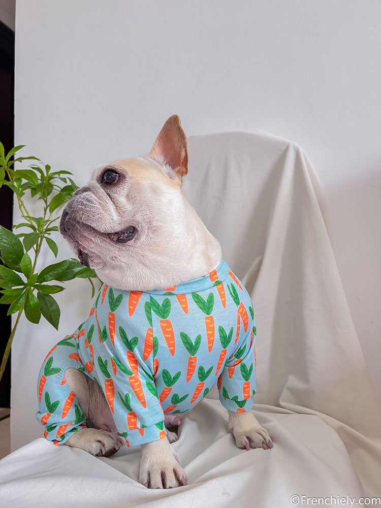 Dog carrot onesie pajmas for medium dogs by Frenchiely 