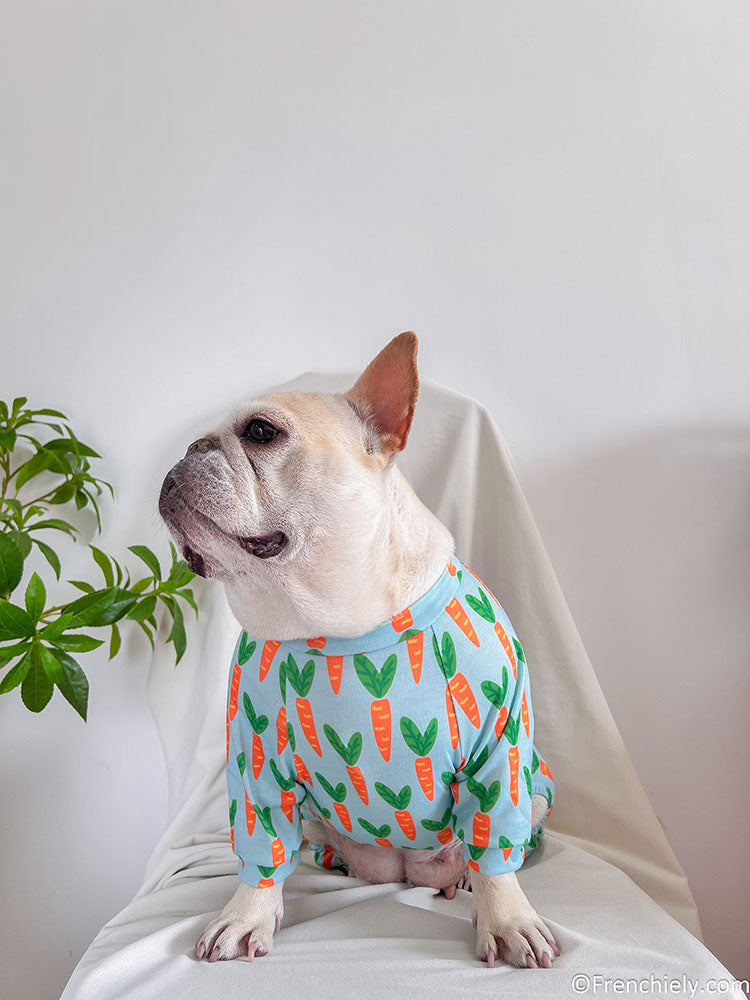 Dog carrot onesie pajmas for medium dogs by Frenchiely 
