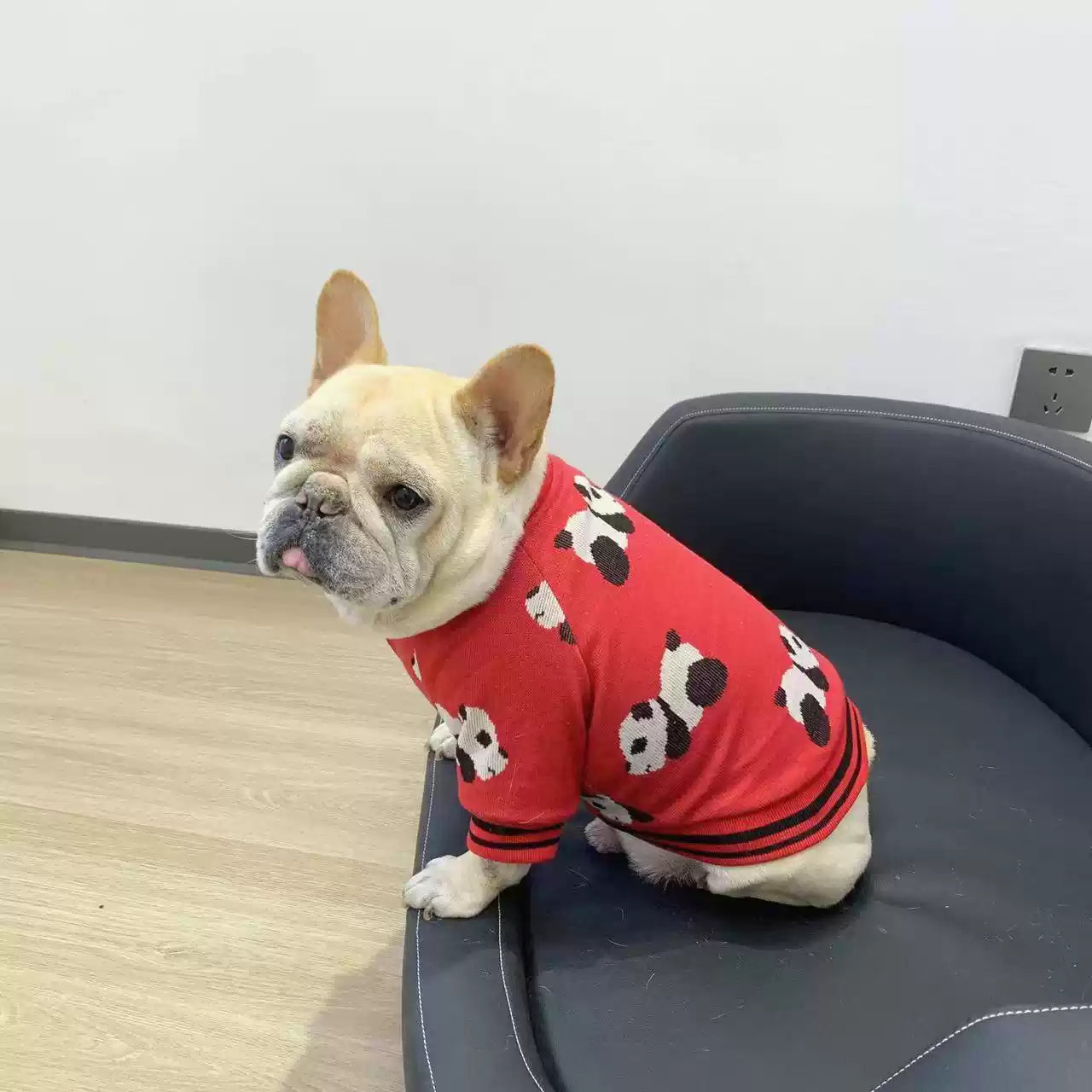 Panda Jacket