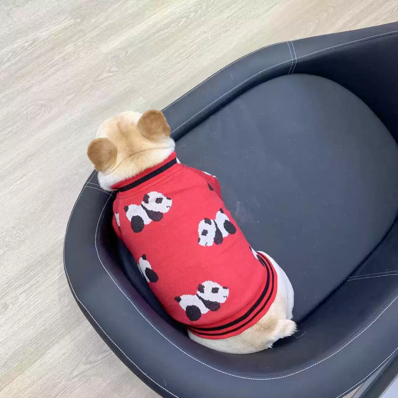 Panda Jacket