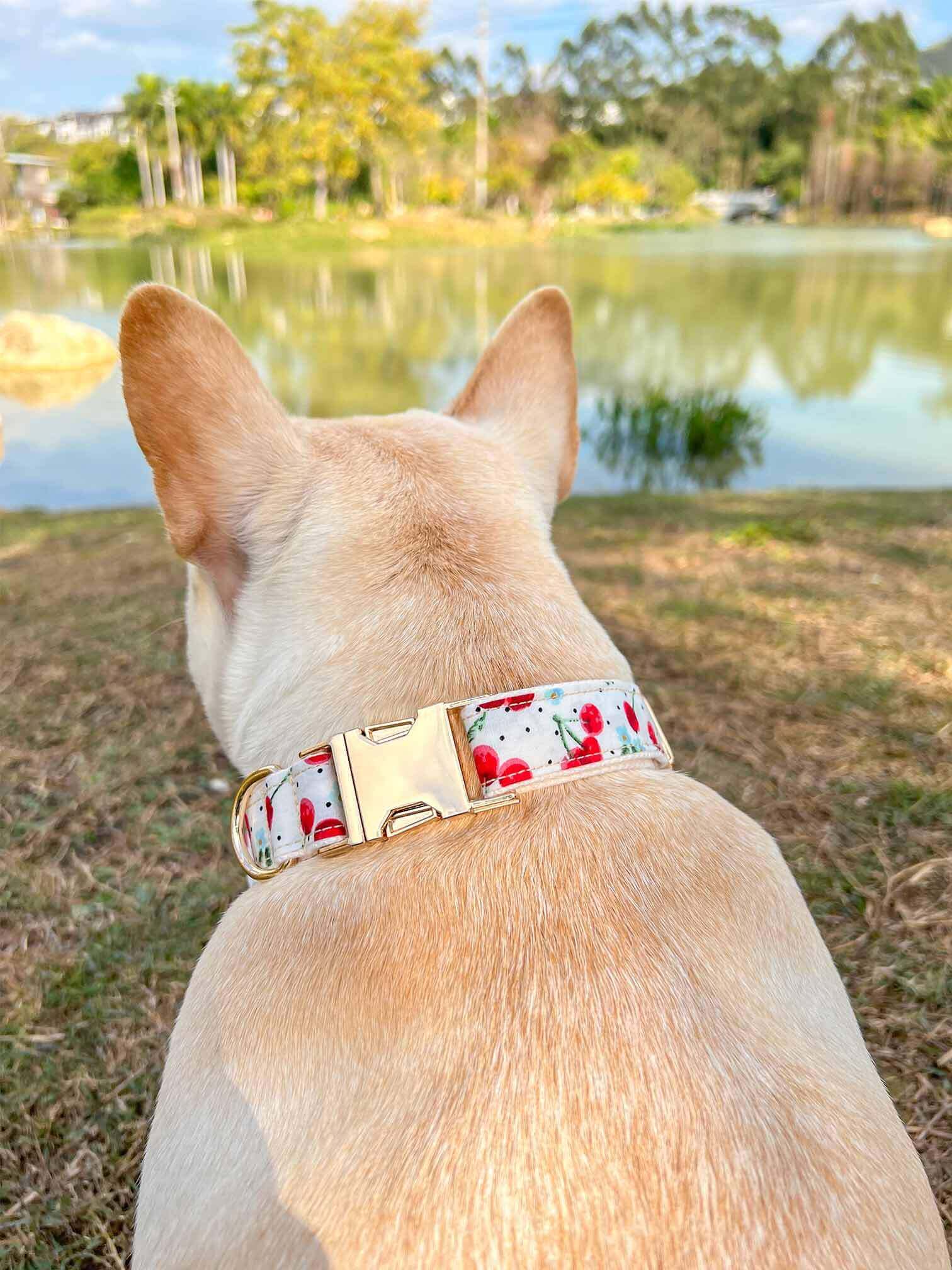 Dog Collar- Cherry - Frenchiely