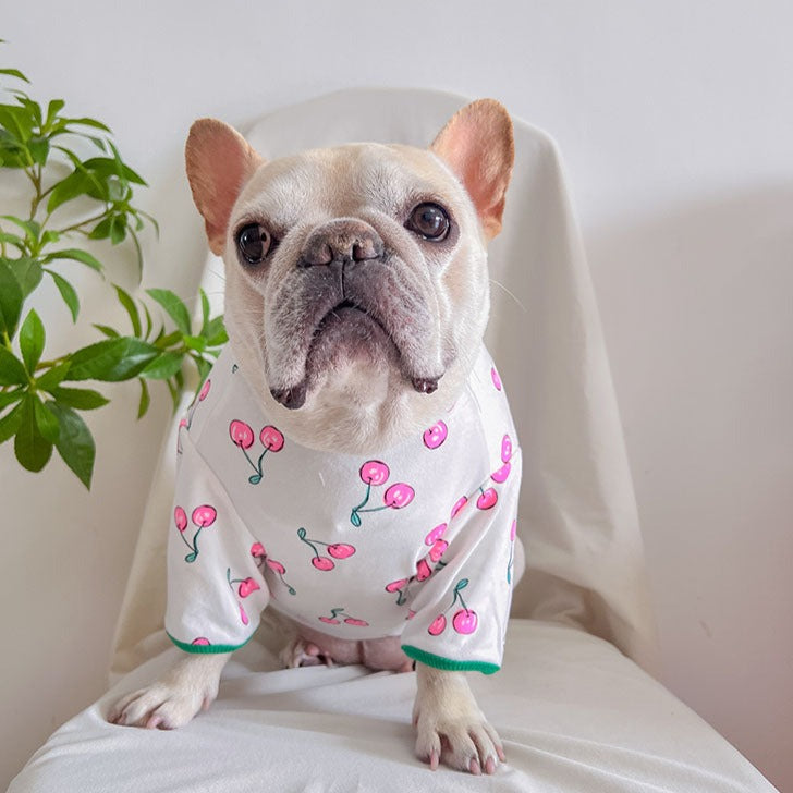 dog green cherry cotton shirt for medium dog breeds by frenchiely