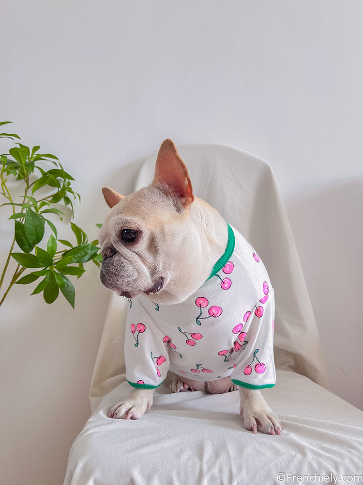 dog green cherry cotton shirt for medium dog breeds by frenchiely