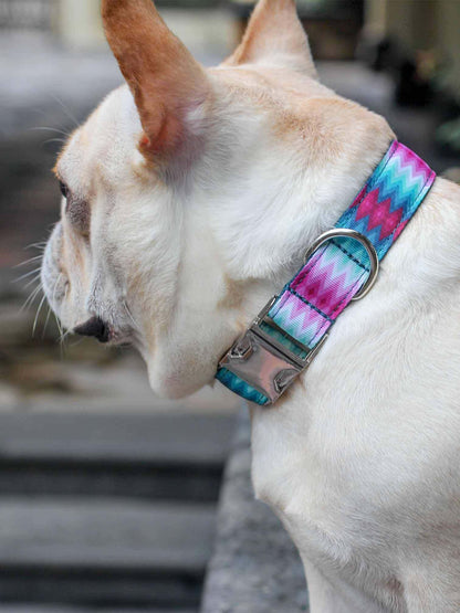 Dog Peacock Collar - Frenchiely