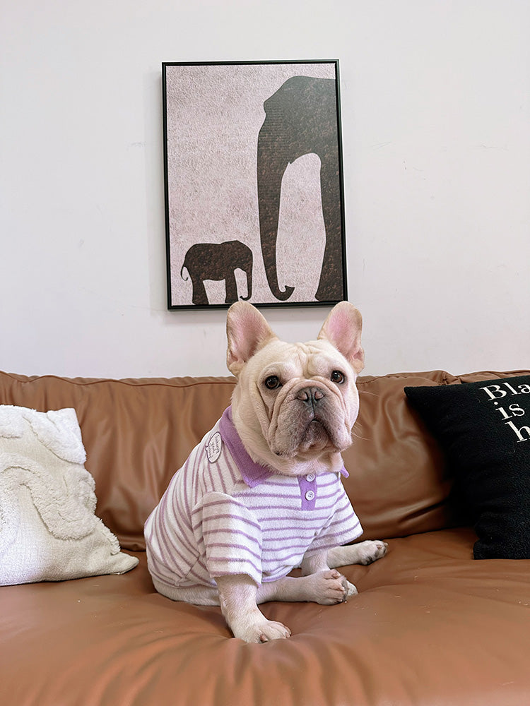 Dog Stripe Polo Shirt for small medium dogs by Frenchiely