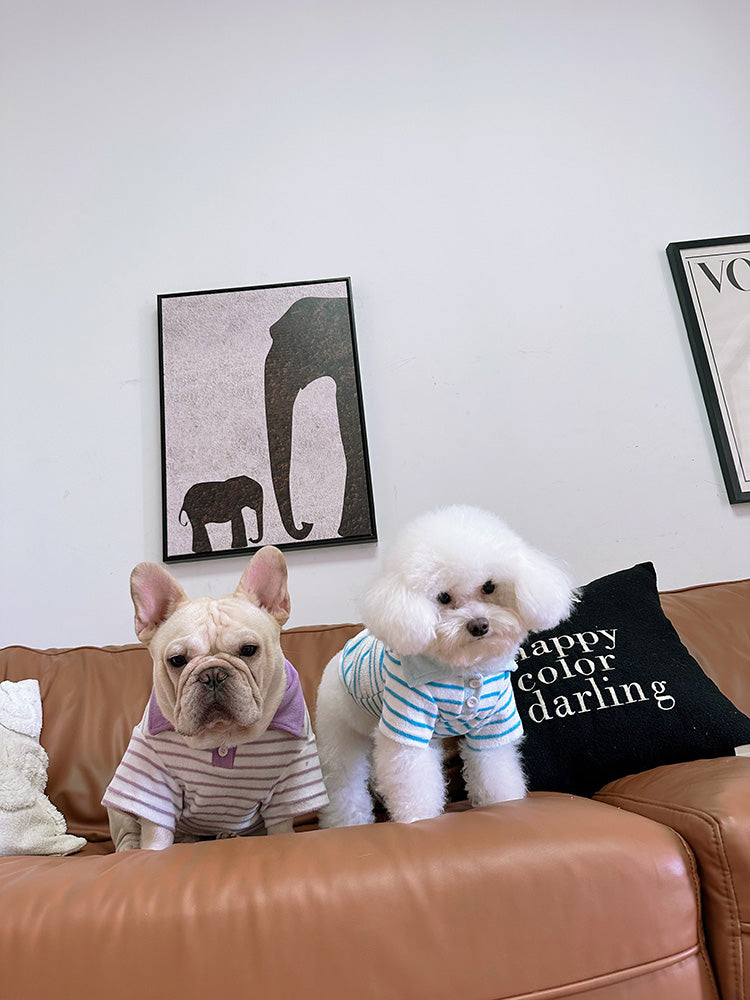 Dog Stripe Polo Shirt for small medium dogs by Frenchiely